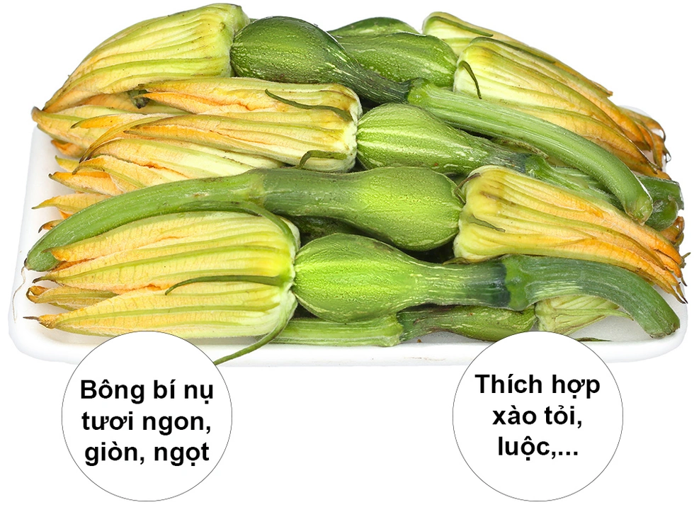 Bông bí nụ 