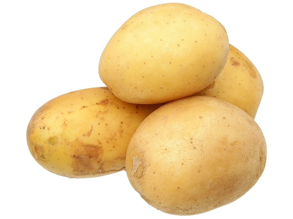 Khoai tây củ