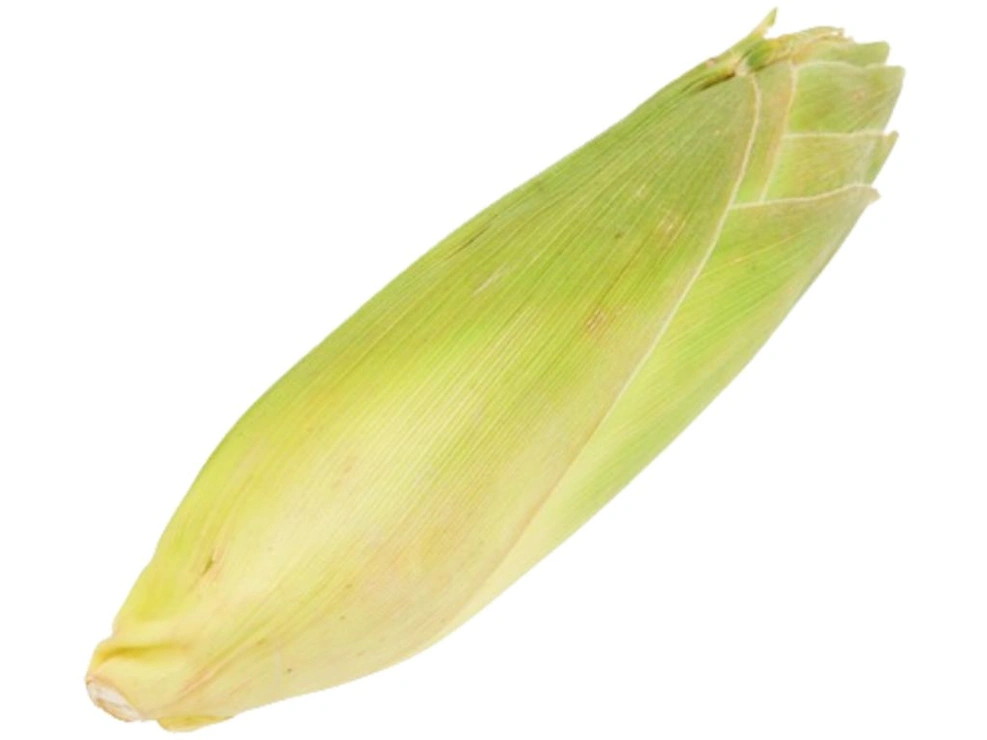 Bắp Mỹ